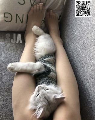 西游降魔篇2免费播放高清国语_高清天堂在线