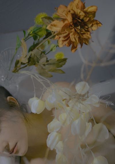 浪漫医生金师傅第一季免费观看_1080在线播放